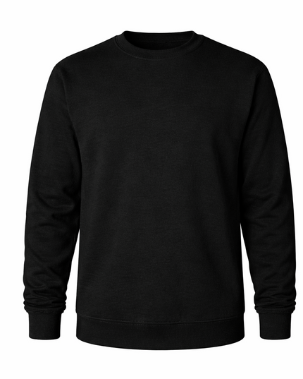 Youth Premium Sweatshirt